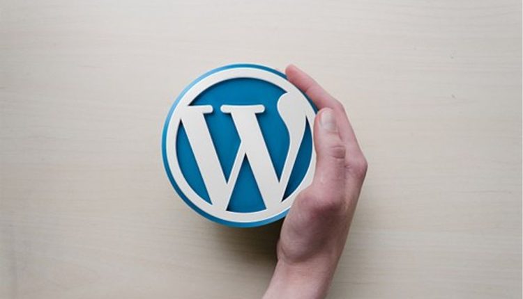 Build Your Website On WordPress