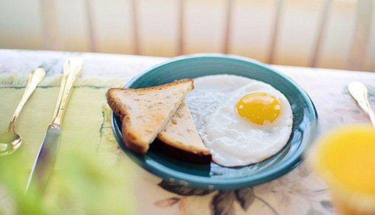 Why Protein Is Essential