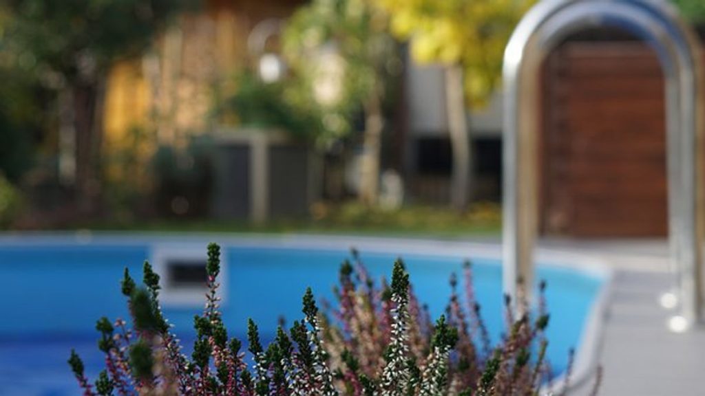 How to Plant a Pool