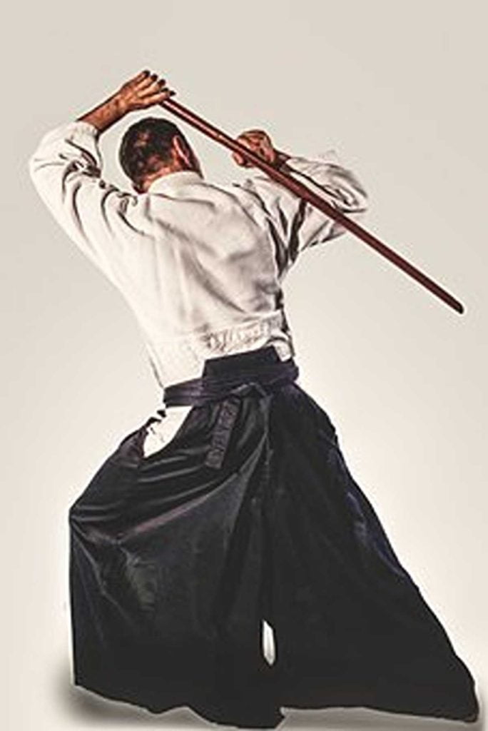 What Is A Martial Artist
