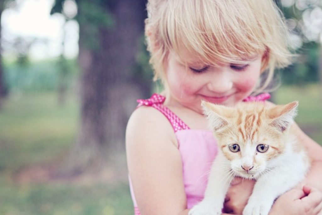 Newborn Kittens