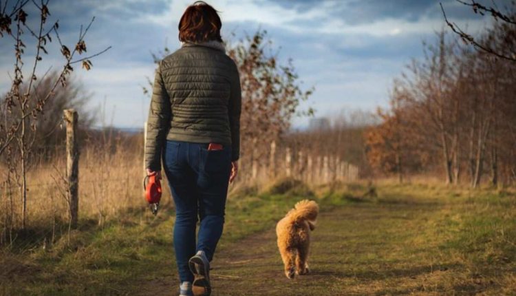 How to Walk Your Dog