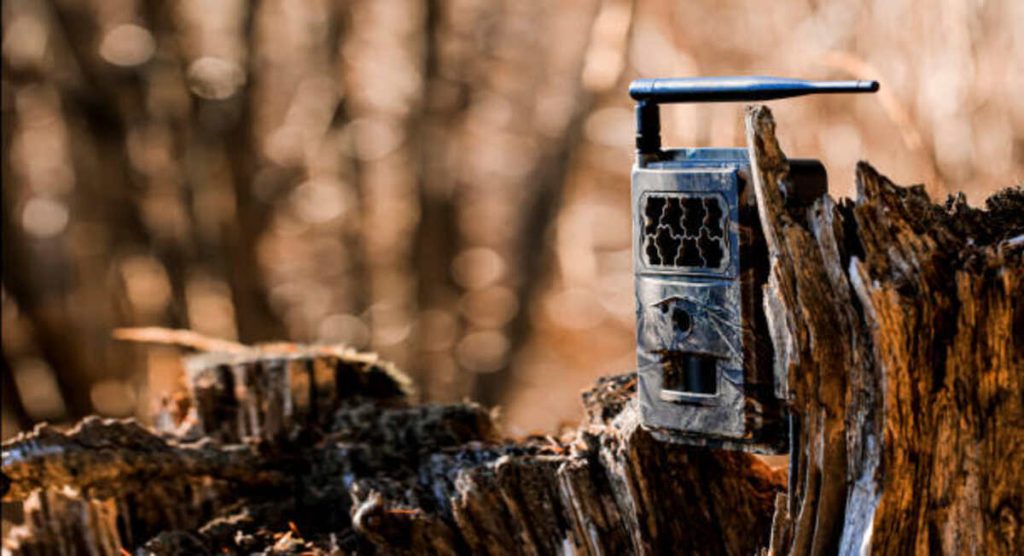 hunting camera