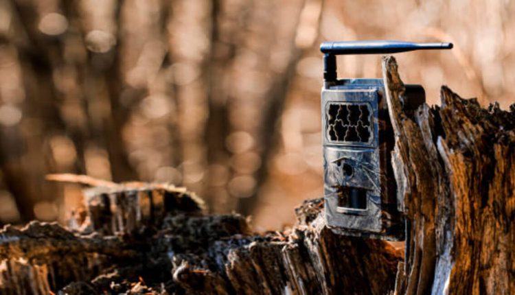 hunting camera