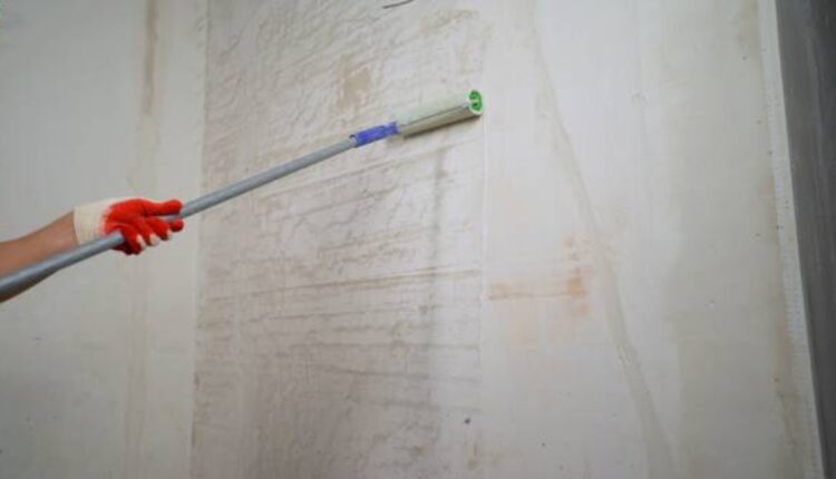 The particular Role of Landscaping with Effective Basement Waterproofing