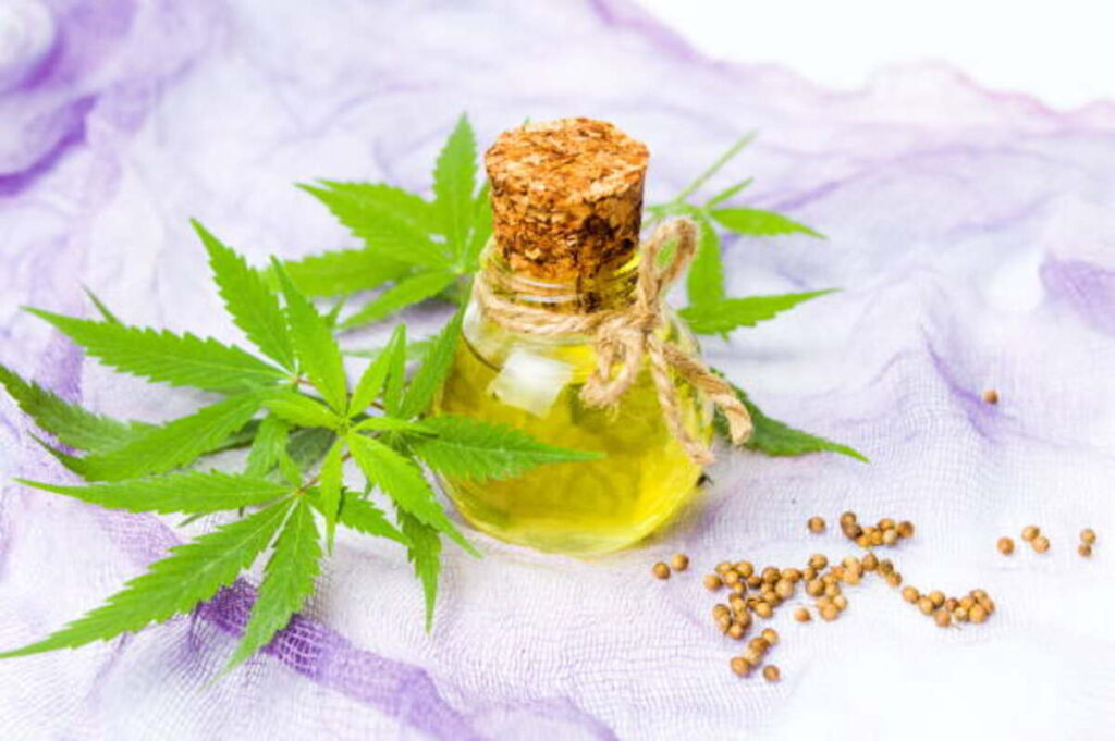 Capitalizing on Your Puffco Plus Holding chamber Experience