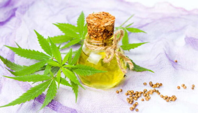 Capitalizing on Your Puffco Plus Holding chamber Experience